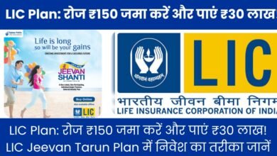 LIC Plan