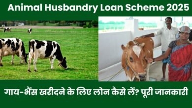 Animal Husbandry Loan Scheme 2025