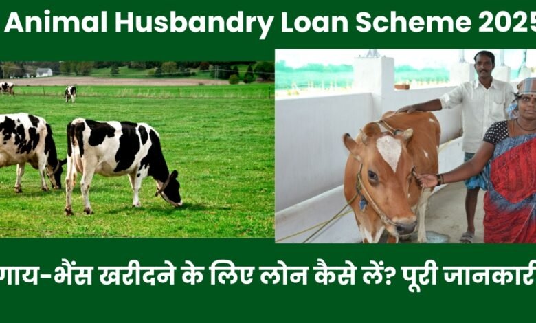 Animal Husbandry Loan Scheme 2025