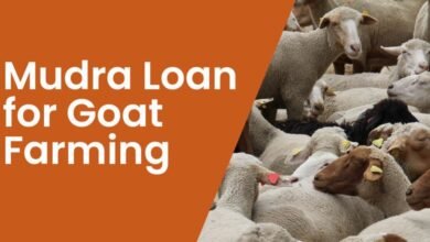 Bakri Palan Loan Yojana Apply