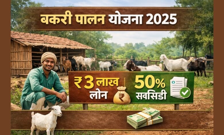 बकरी पालन योजना 2025 के तहत लोन और सब्सिडी के साथ बकरी पालन व्यवसाय