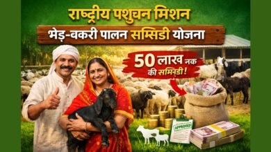 राष्ट्रीय पशुधन मिशन के तहत भेड़ बकरी पालन पर 50 लाख रुपये तक की सब्सिडी