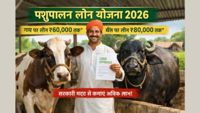 पशुपालन लोन योजना 2026 के अंतर्गत गाय और भैंस पालन के लिए सरकारी लोन