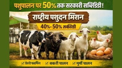 राष्ट्रीय पशुधन मिशन पशुपालन सब्सिडी योजना 2026