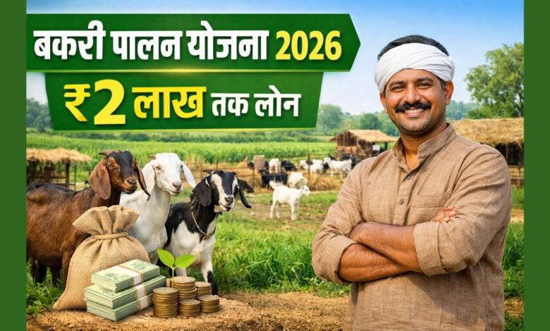 Bakri Palan Yojana 2026 के तहत किसान बकरी पालन लोन और सब्सिडी की जानकारी