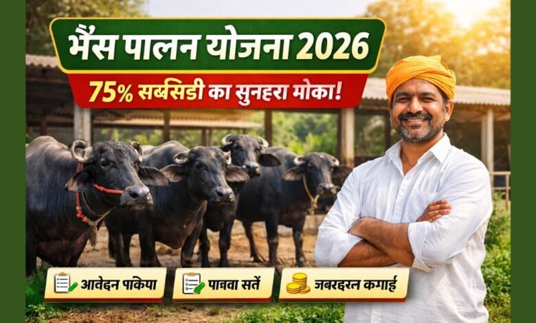 भैंस पालन योजना 2026 के तहत 75 प्रतिशत सब्सिडी के साथ डेयरी फार्मिंग करते किसान