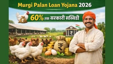 मुर्गी पालन लोन योजना के तहत सरकार दे रही है पोल्ट्री फार्म शुरू करने पर 60% तक सब्सिडी