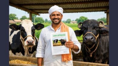 पशुपालन लोन योजना 2026 के तहत गाय और भैंस पालन के लिए सरकारी लोन लेते हुए किसान