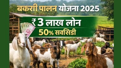 बकरी पालन योजना 2025 के तहत ₹3 लाख लोन और सब्सिडी से बकरी पालन व्यवसाय