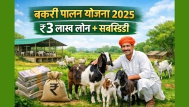 बकरी पालन योजना 2025 के तहत लोन और सब्सिडी के साथ बकरी पालन व्यवसाय का दृश्य