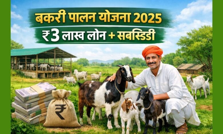 बकरी पालन योजना 2025 के तहत लोन और सब्सिडी के साथ बकरी पालन व्यवसाय का दृश्य