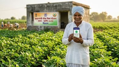 भारतीय किसान अपने मोबाइल पर खरीफ फसल बीमा भुगतान का स्टेटस चेक करते हुए।