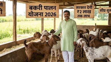 Bakri Palan Yojana 2026 benefit for Indian farmers with goat herd in farm.