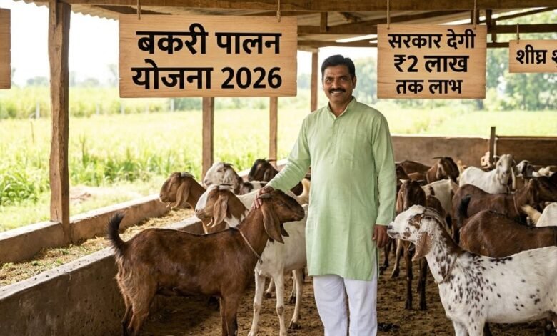 Bakri Palan Yojana 2026 benefit for Indian farmers with goat herd in farm.