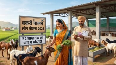 बकरी पालन व्यवसाय शुरू करने के लिए सरकार से प्राप्त करें ₹2 लाख तक की आर्थिक सहायता।