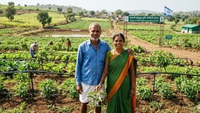 नानाजी देशमुख कृषि संजीवनी प्रकल्प के तहत लाभ लेते महाराष्ट्र के किसान और ड्रिप सिंचाई का चित्र।