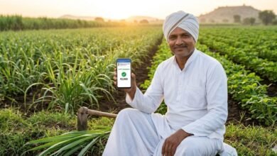 पीएम किसान योजना: अगली किस्त के लिए e-KYC और आधार सीडिंग अनिवार्य है।
