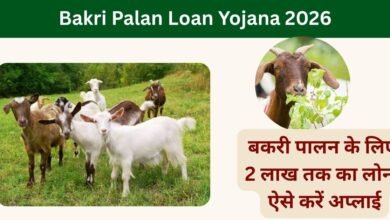 Bakri Palan Loan Yojana 2026