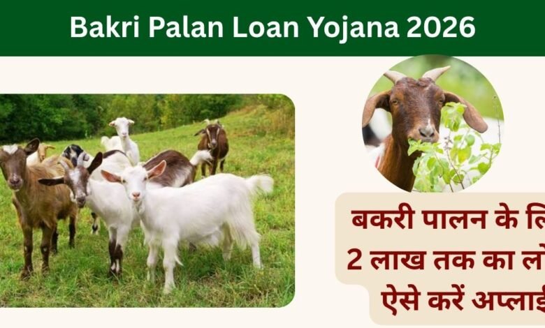 Bakri Palan Loan Yojana 2026