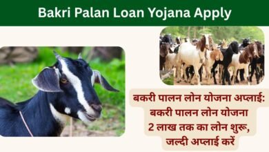 Bakri Palan Loan Yojana Apply