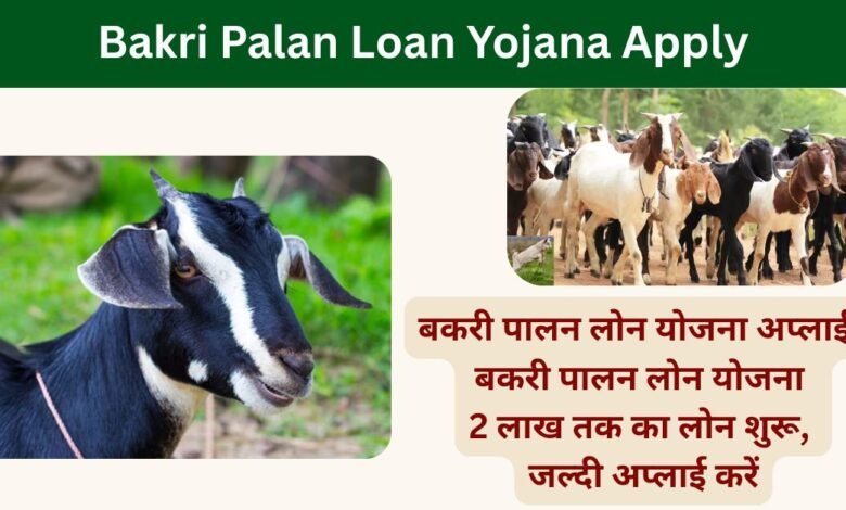 Bakri Palan Loan Yojana Apply