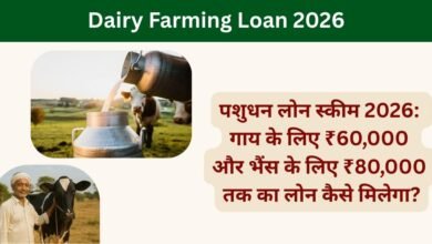 Dairy Farming Loan 2026