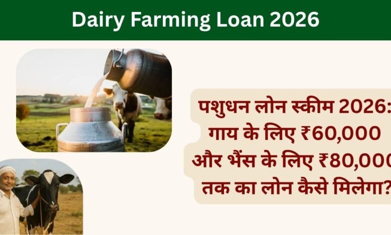 Dairy Farming Loan 2026
