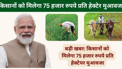 Farmer anudan 2026