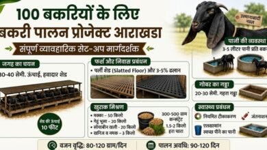 Goat Farming