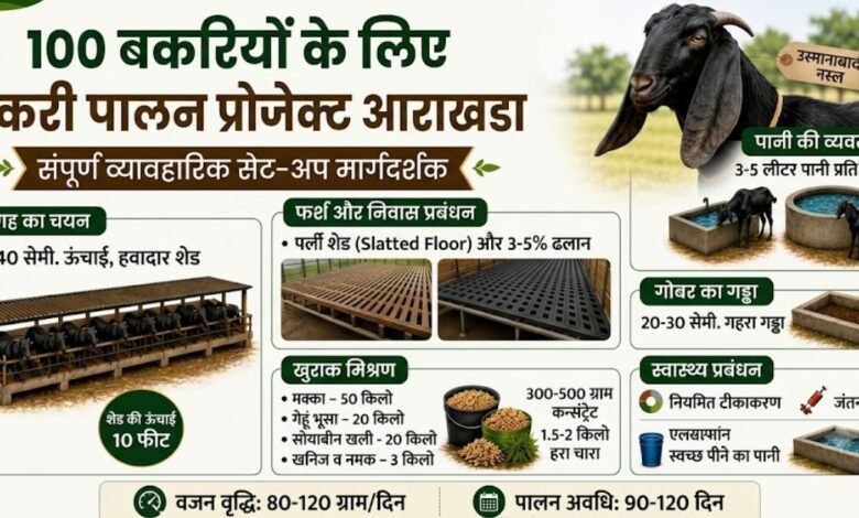 Goat Farming