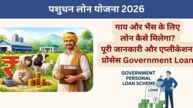 Government Loan