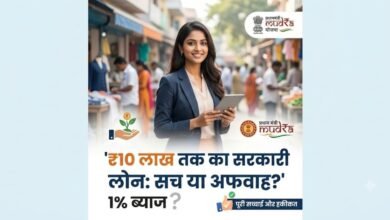 Government Loan Scheme