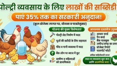 Poultry Farming Subsidy 2026