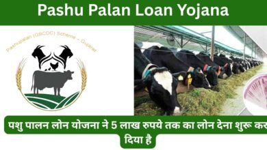 Pashu Palan Loan Yojana