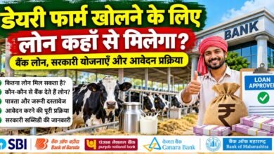 Dairy Farm Loan Apply Online